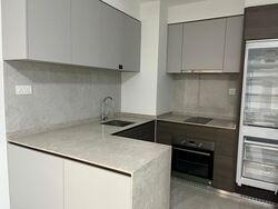 The Florence Residences (D19), Apartment #426591181